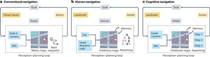 Bio-inspired cognitive navigation for robots