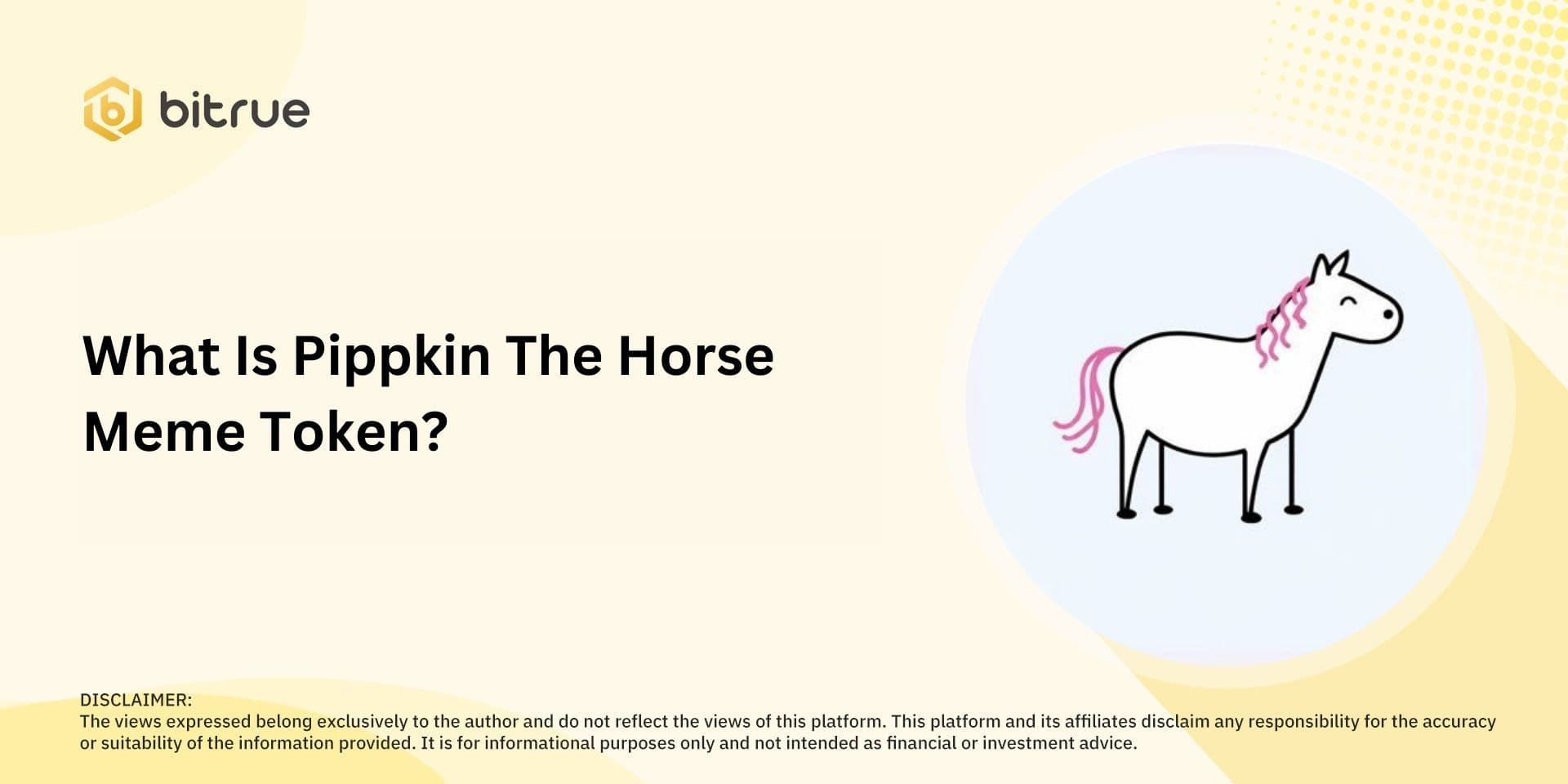 What Is Pippkin The Horse Meme Token?