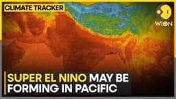 Pacific Warming Signals Strong El Nino Risk | WION Climate Tracker