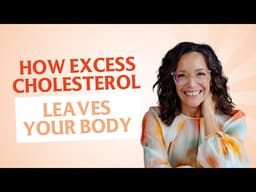 Why Elimination Matters as Much as Intake for Healthy Cholesterol Levels in Perimenopause