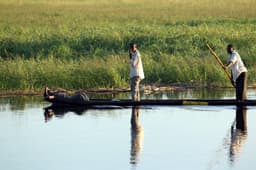 The Crocodile Question