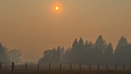 Sunday RoundUp: Clearing the air 