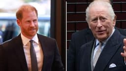 Prince Harry 'Gets Last Chance to Repair King Charles Rift'