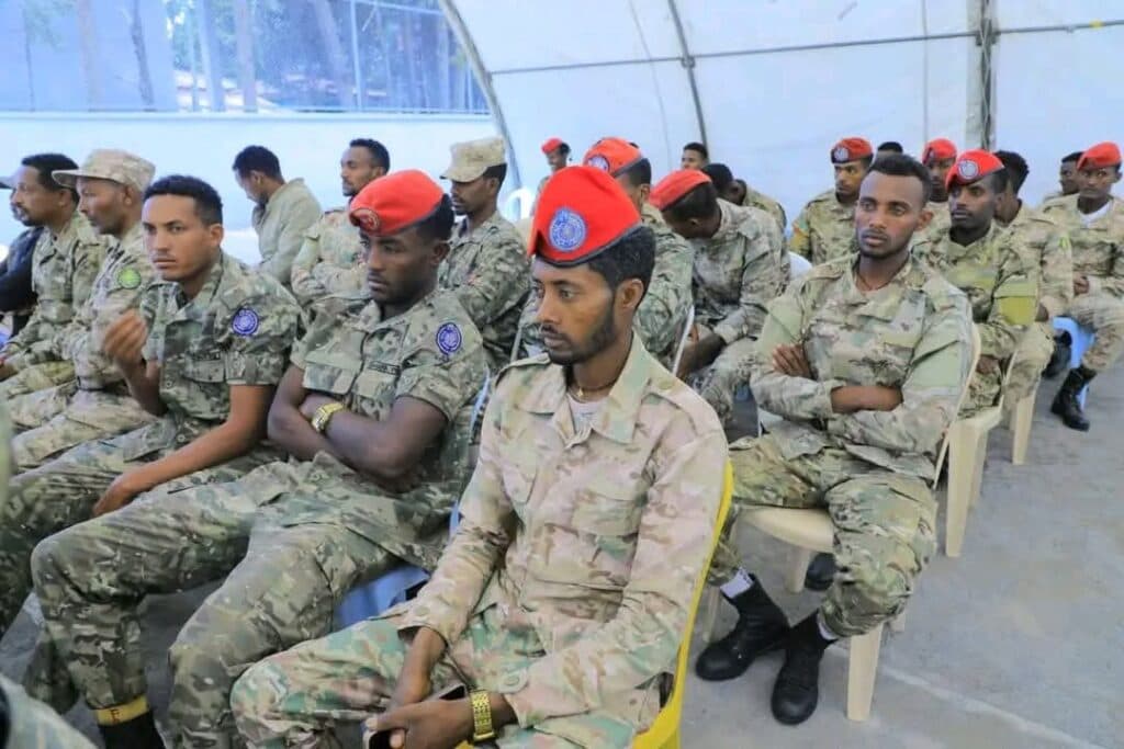 Reasons and prospects for the Amhara Rebellion