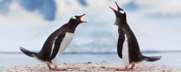 How to resolve workplace conflicts: A guide for managers