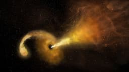 Astronomers spot ultra rare black hole