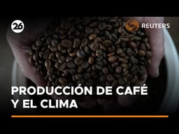 Investigadores brasileños remezclan variedades de café para el desafío climático | #Reuters