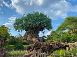 
	Disney World's Latest Summer Travel Deals | TravelPulse
