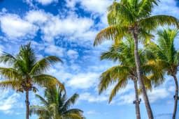 When the property tax floor drops: A decision support ...