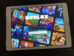 Dan Haar: Why Connecticut could lead a multistate coalition against Roblox