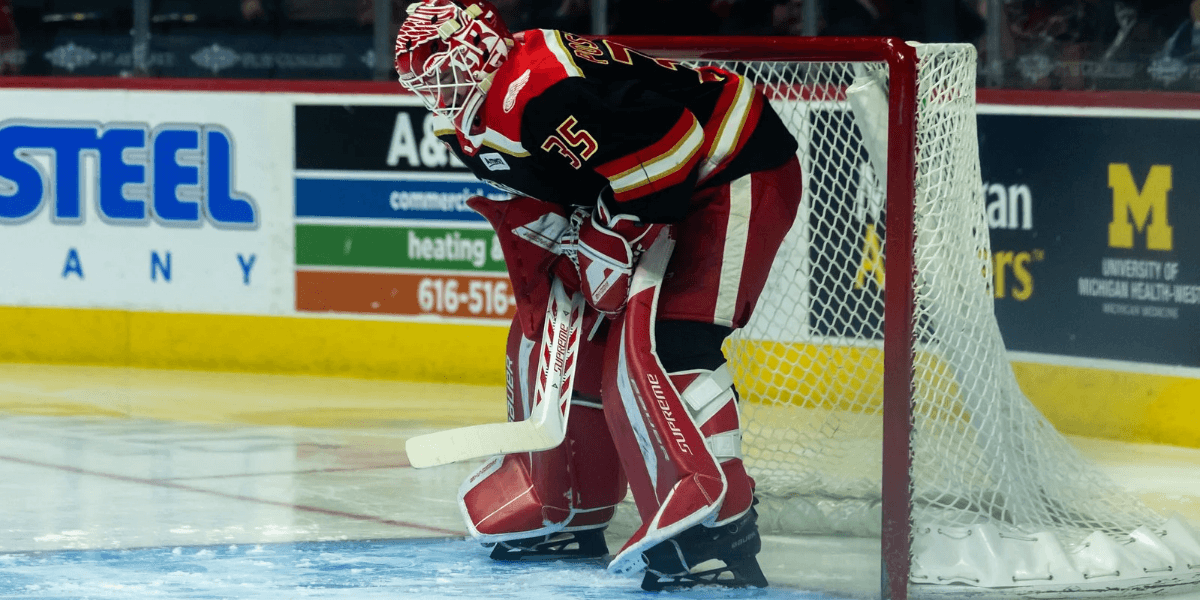Report: Michal Postava Recalled By Detroit Red Wings