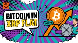 Bitcoin ETFs Add $175.7M as XRP ETF Flows Stay Flat