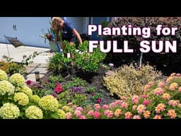 Full Sun Flower Bed Ideas | Heat-Tolerant Plants That Actually Work