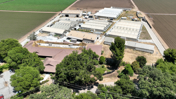 Inside ICE's strategy to sidestep local oversight laws