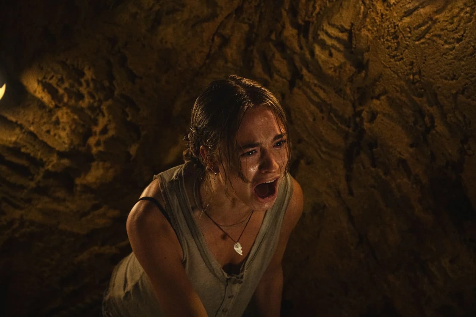 Primate, the animal-horror film aired on Canal+