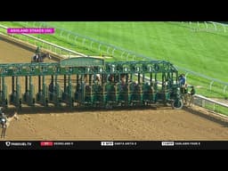 The 2026 $750,000 Central Bank Ashland Stakes Grade I