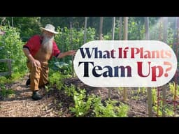 What Happens When Plants Help Each Other? | Companion Planting Explained