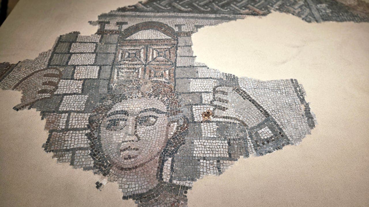 Ancient mosaics, coins to go on display in new exhibit ...