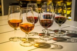 Port Wine: Styles, Taste, Food Pairings & How to Serve It