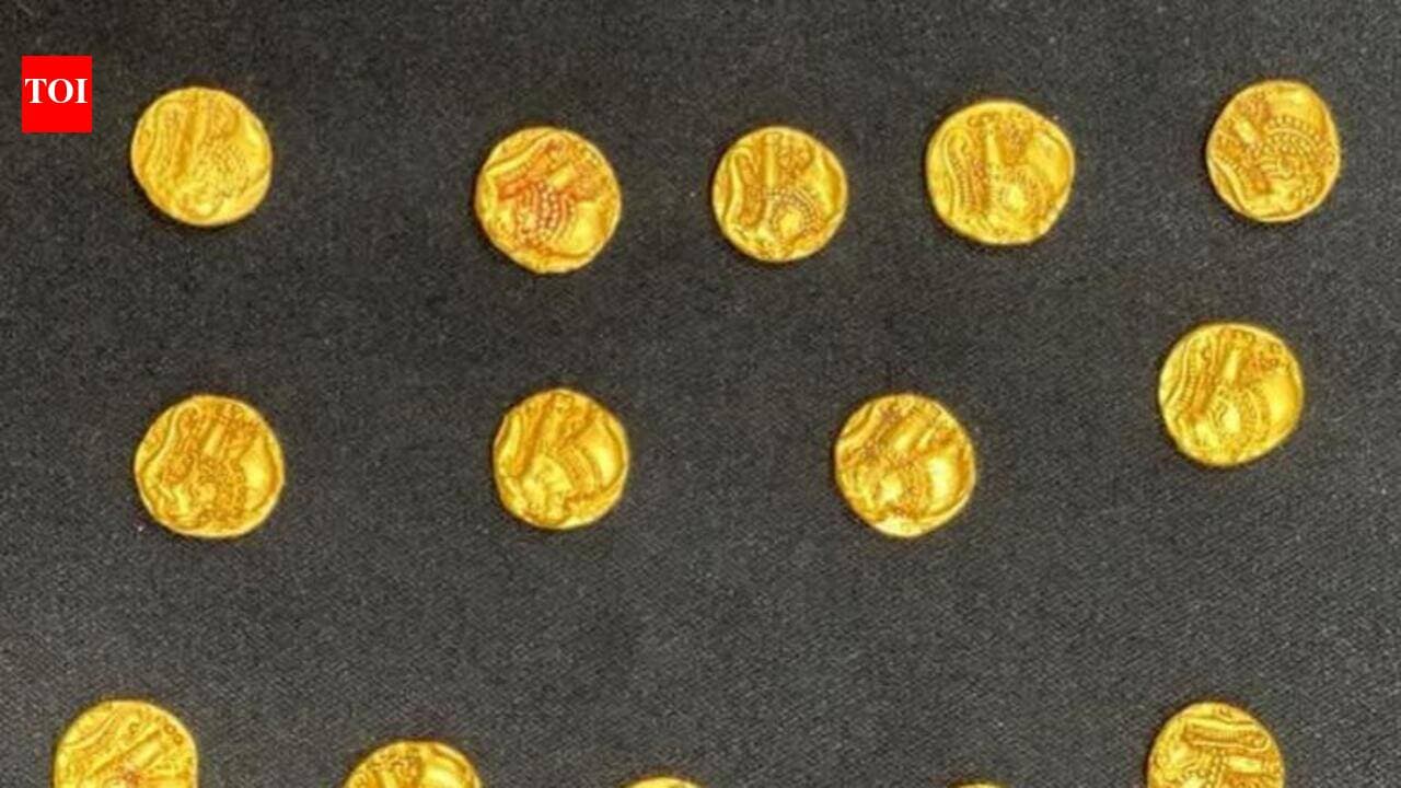 14 historic gold coins found during VB-G RAM G project work in ...
