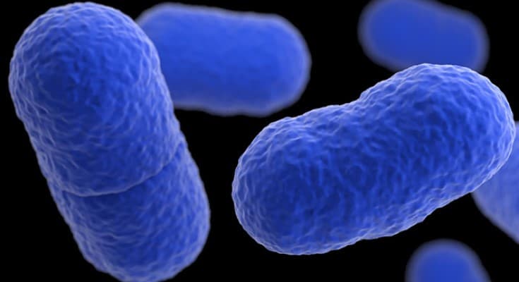 CDC Investigates Listeria Outbreak Tied to Recalled Soft Cheese