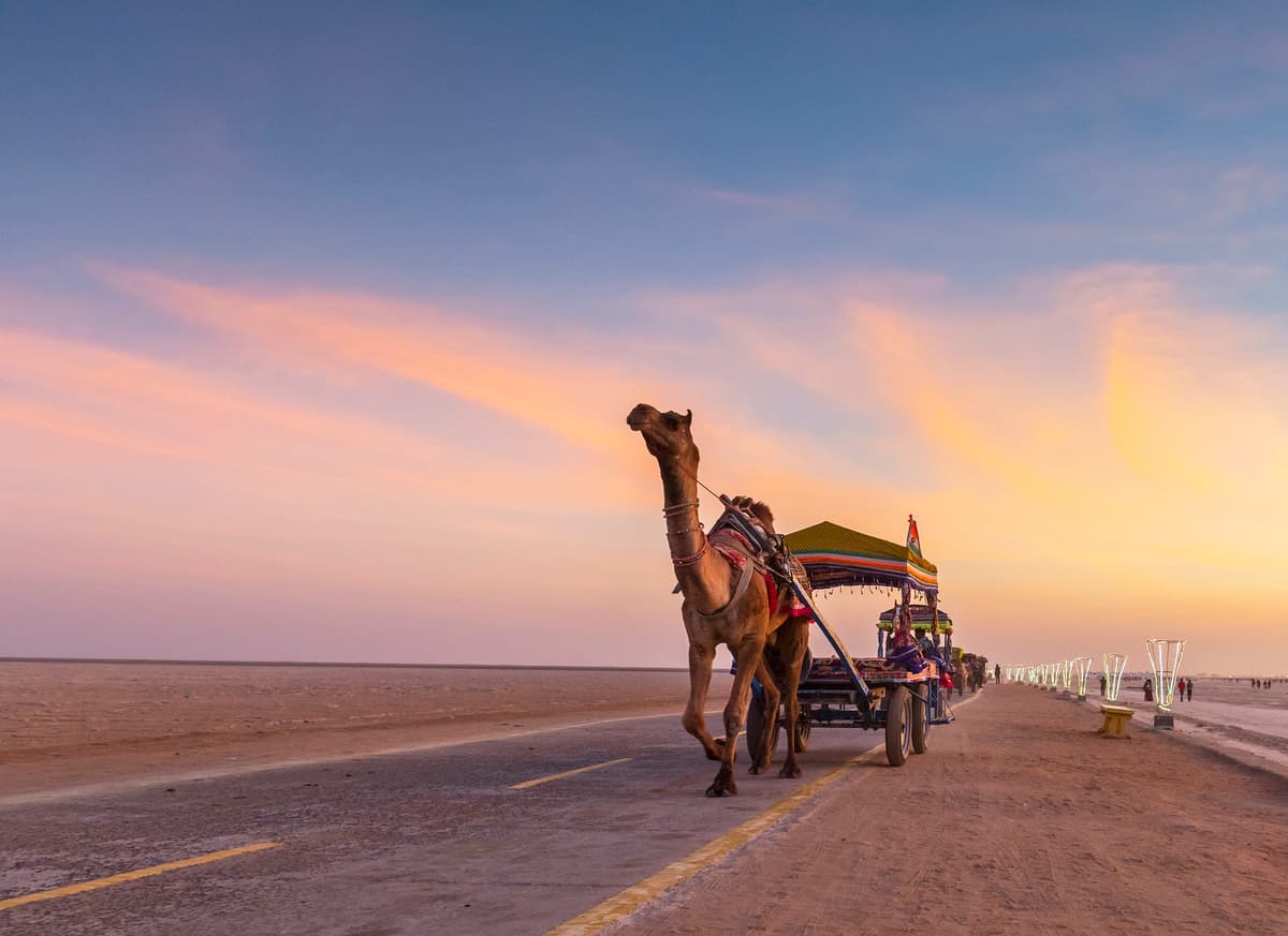 What Makes Rann Utsav 2026 a Unique Cultural Experience