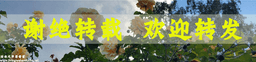 2sam21 迎回75年尘封的约柜