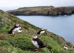 World reaches milestone for nature: 10% of ocean now officially protected - Press release | IUCN