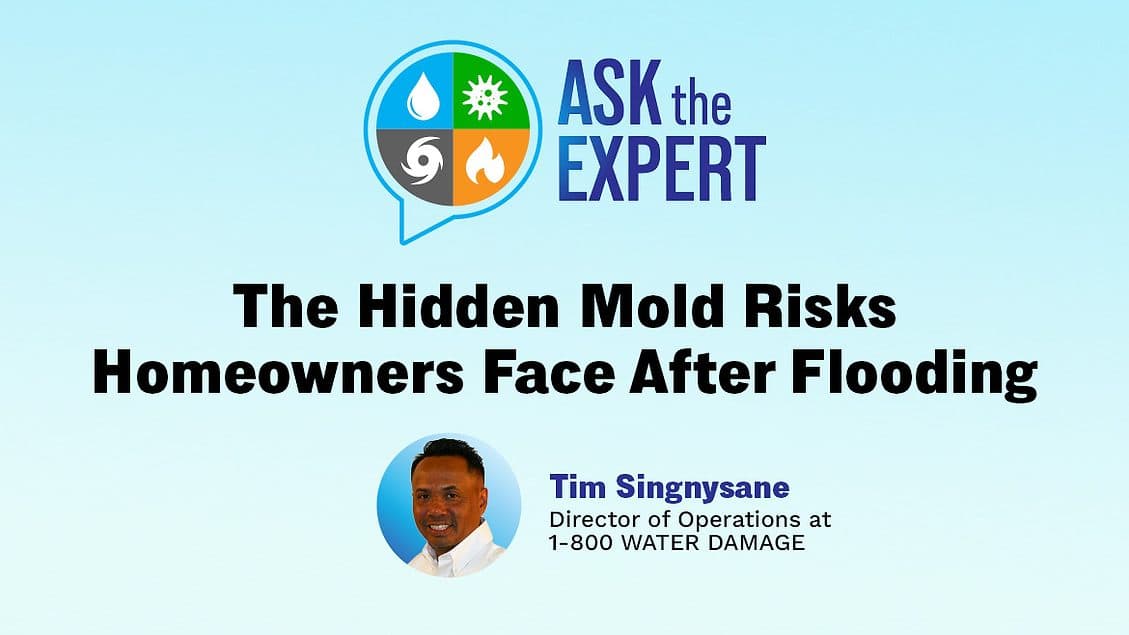 The Hidden Mold Risks Homeowners Face After Flooding
