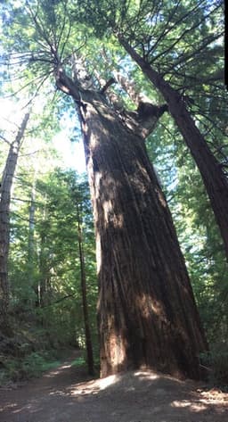 BMHS Fall Creek Hike, Mon, Aug 31, 2026, 9:15 AM