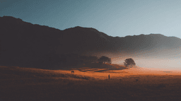 User research for compliance software: a complete guide for product and UX teams | CleverX Guides