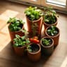 Home Garden Lab