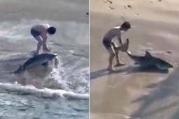 California man strips to his underwear to save a great white shark stuck on a fishing line near busy beach