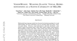 VisionWeave: Weaving Elastic Visual Representations as a Native Capability of MLLMs