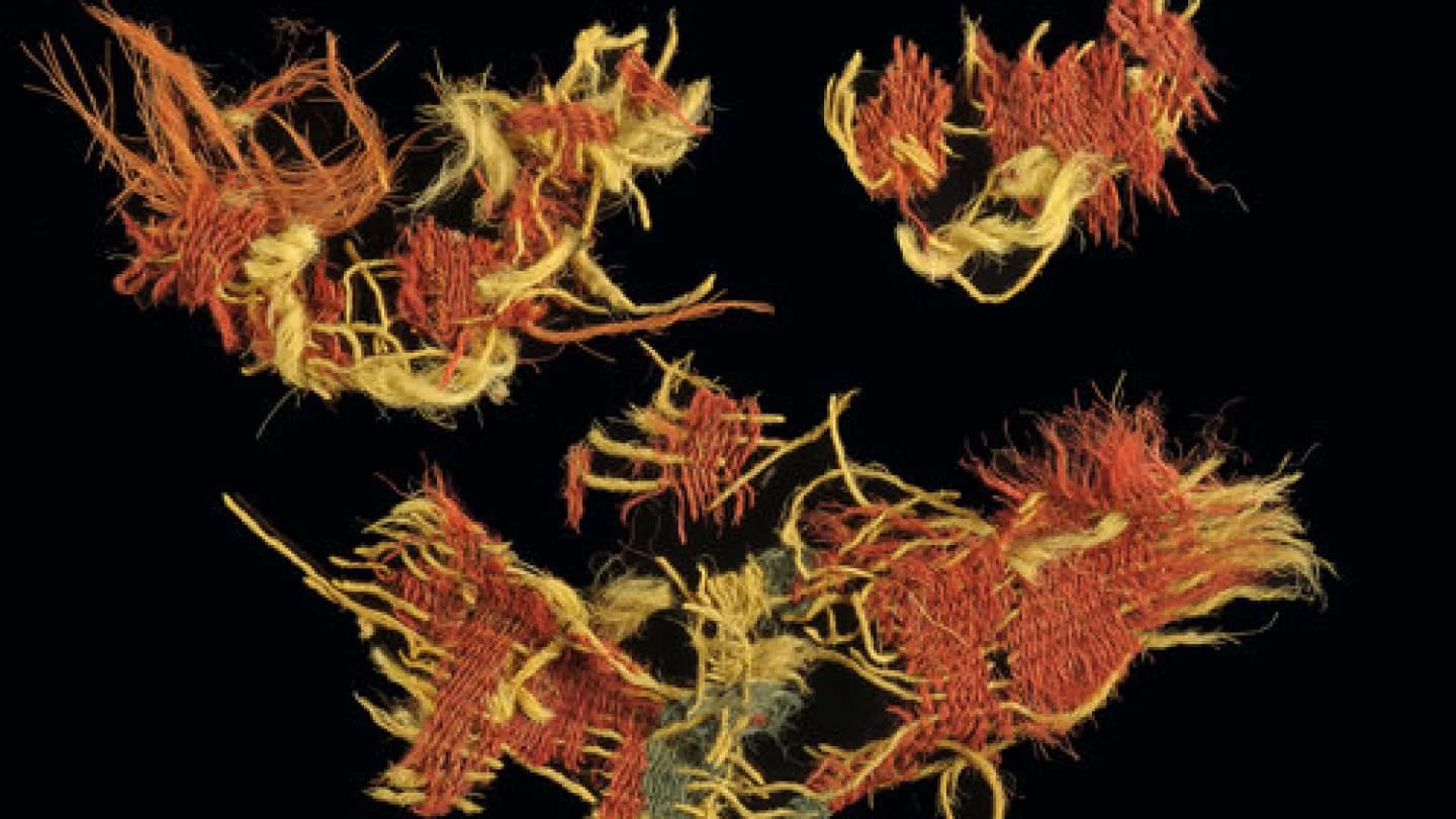 What did Israel's ancient kings wear? Textile discovery ...