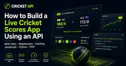 How to Build a Live Cricket Scores App Using an API
