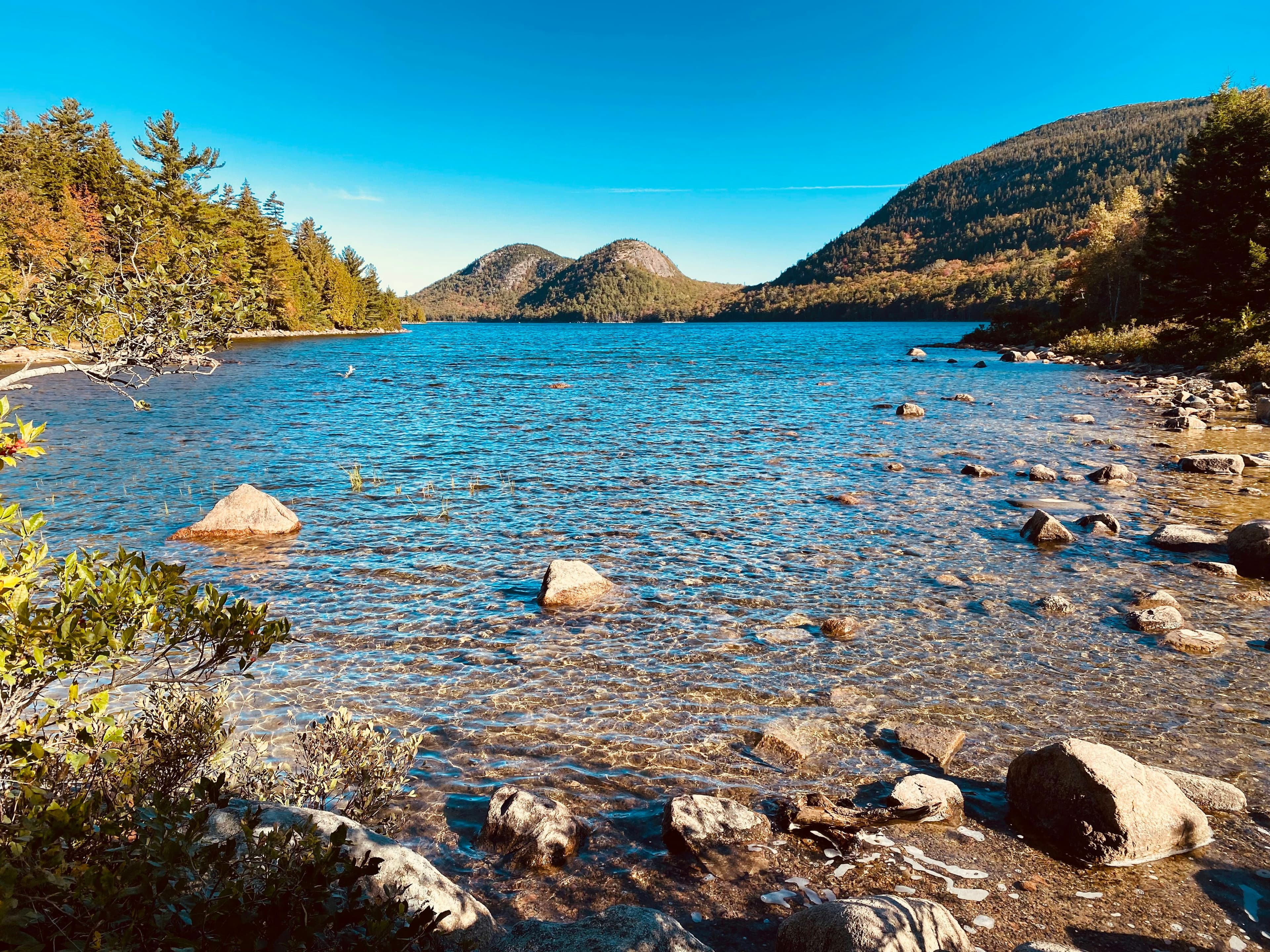 THINGS TO DO IN THE MOUNT DESERT ISLAND REGION THIS WEEK.