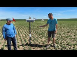Monitoring Soil Moisture to Support Irrigation Decision Making | Plot Shots 2025