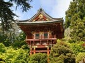 Art & Museums Events | San Francisco - Funcheap