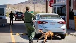 Border Patrol citing legal immigrants more often for ‘carry your papers’ violations