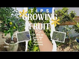 Growing fruit Trees TIPS 🌳  POMEGRANATE  & CITRUS  & Containers Garden! Q&A #fruittrees #gardening 