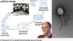 BREAKING: Gates Foundation Funds First-Ever Creation of 16 Synthetic Viruses Using AI