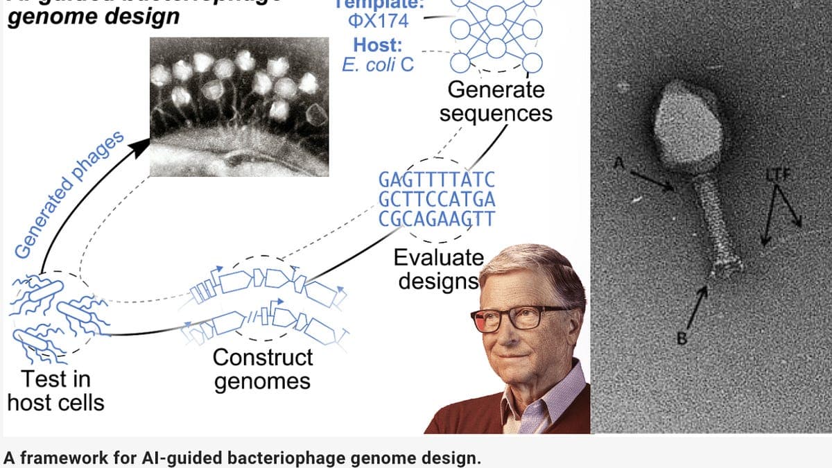 BREAKING: Gates Foundation Funds First-Ever Creation of 16 Synthetic Viruses Using AI