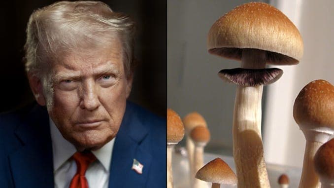 President Donald Trump Loosens Restrictions on Psychedelics in Bid to Fix America’s ‘Mental Health Crisis’