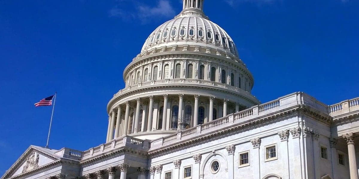 DHS funding: Johnson GOP cave to stripped bill/Freedom Caucus fury/TSA chaos/Dem poll surge