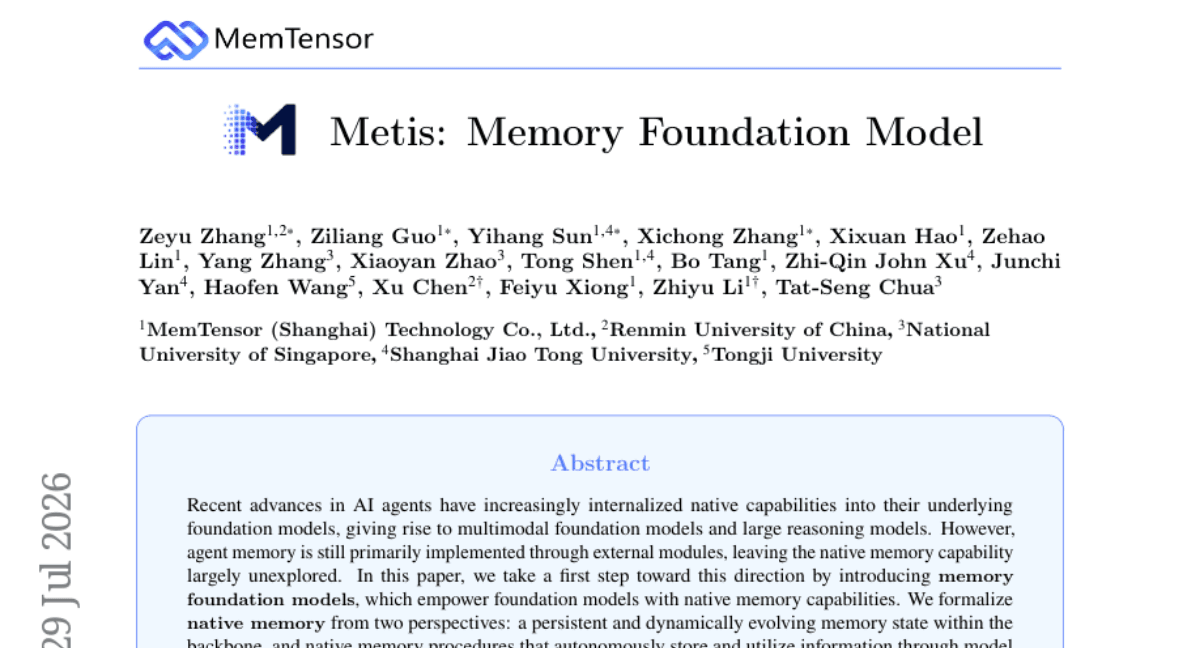 Metis: Memory Foundation Model
