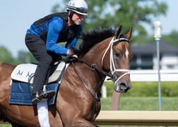 Pedigree Power: Journalism, Nysos Top Field of Seven for Stallion-Making Met Mile