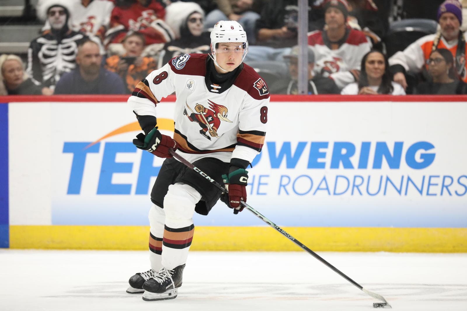 Mammoth Give Top Blueline Prospect His First NHL Call-up