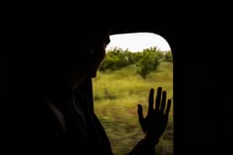 Noncitizens Are Choosing Voluntary Departure in Increasing Numbers  