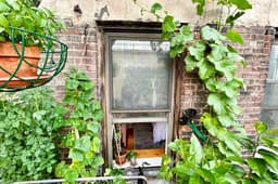 You Don’t Need a Yard to Start a Garden — Here’s What to Do Instead - AOL